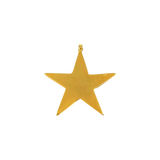 Star Medallion
