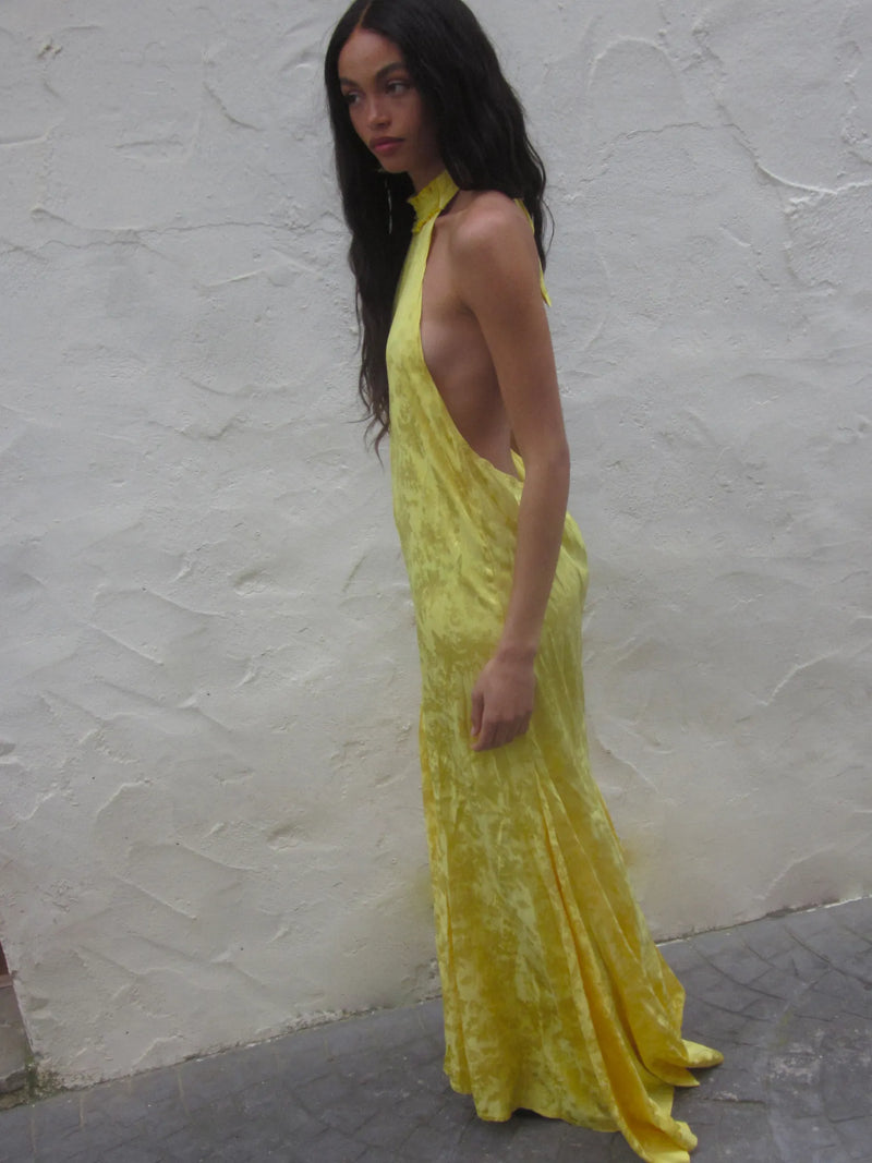 Fandango Dress