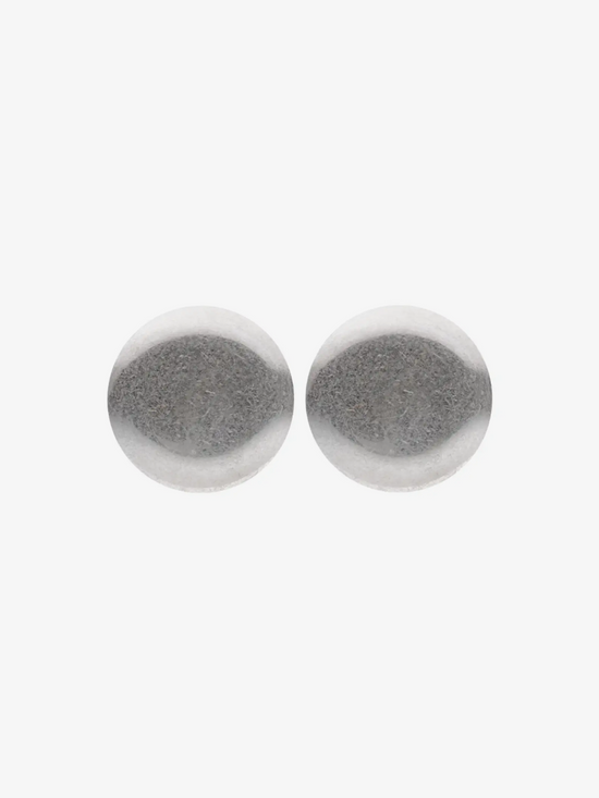 Carol Washed Silver Earrings